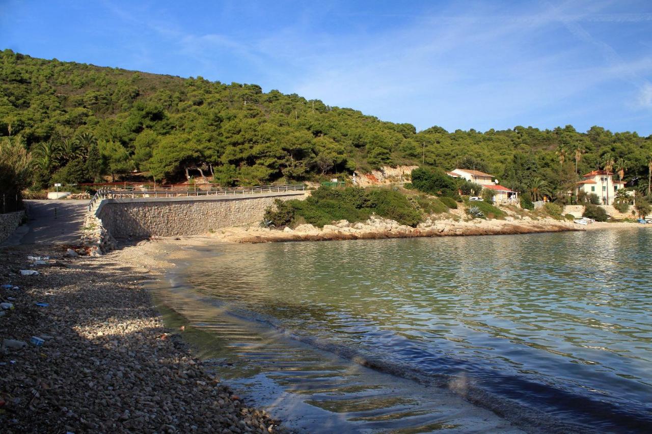 רוקבאץ Apartments By The Sea Milna, Vis - 8895 מראה חיצוני תמונה